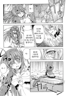 Ikazuchi no Senshi Raidy ~Haja no Raikou~ THE COMIC | 번개의 전사 라이디 ~파사의 뇌광~ THE COMIC, 한국어