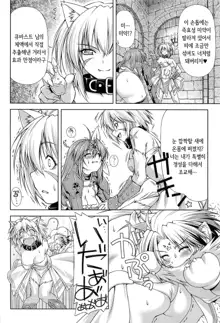 Ikazuchi no Senshi Raidy ~Haja no Raikou~ THE COMIC | 번개의 전사 라이디 ~파사의 뇌광~ THE COMIC, 한국어