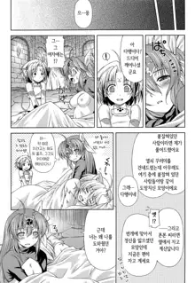 Ikazuchi no Senshi Raidy ~Haja no Raikou~ THE COMIC | 번개의 전사 라이디 ~파사의 뇌광~ THE COMIC, 한국어