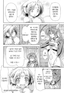 Ikazuchi no Senshi Raidy ~Haja no Raikou~ THE COMIC | 번개의 전사 라이디 ~파사의 뇌광~ THE COMIC, 한국어