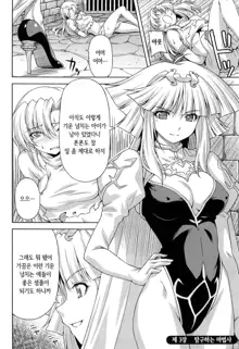 Ikazuchi no Senshi Raidy ~Haja no Raikou~ THE COMIC | 번개의 전사 라이디 ~파사의 뇌광~ THE COMIC, 한국어