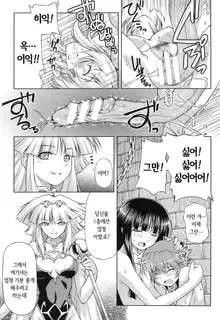 Ikazuchi no Senshi Raidy ~Haja no Raikou~ THE COMIC | 번개의 전사 라이디 ~파사의 뇌광~ THE COMIC, 한국어