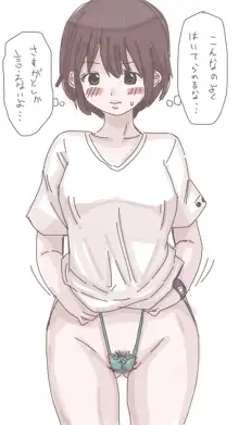 おなこちゃんの絵日記, 日本語