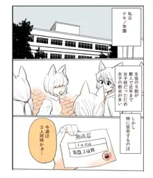 私立ケモノ学園, 日本語