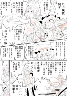 東方プラグマタイザー その12, 日本語