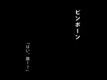 家賃のいらないパコはめアパート ～ワシのアパートビジネス～, 日本語