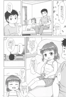 なっちゃんのしゃせいかんり, 日本語