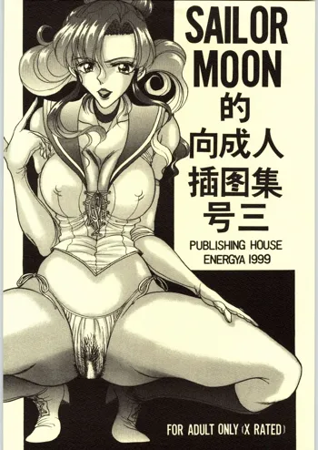 COLLECTION OF <<SAILORMOON>> ILLUSTRATIONS FOR ADULT VOL.3