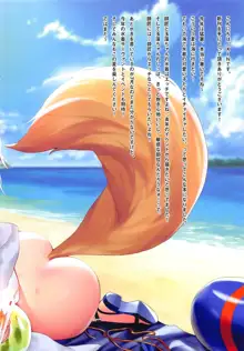 FGO Carnival 17 - Reiju Kaitaku? Tokimeki Summer Vacances | FGO 카니발 17 - 영주개척? 두근두근 바캉스, 한국어