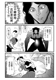 もし永琳とピクルが白亜紀の頃からの知り合いだったら漫画（中國翻訳）, 中文