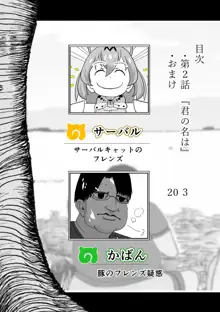 けもみみフレンズ 1,5, 日本語