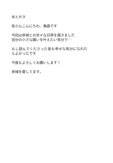 あなたと過ごした日々, 日本語