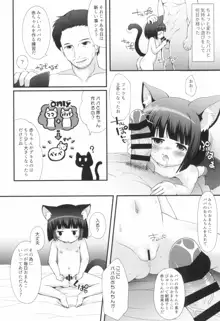 ねこぷにっ! vol.13, 日本語