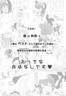 ちぇんといっしょ -おひるねもいっしょ-, 日本語