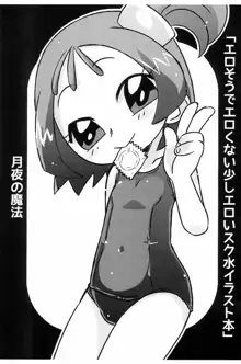 エロそうでエロくない少しエロいスク水イラスト本, 日本語