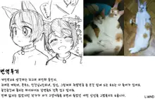 Night with Nyanko | 나이트 with 야옹이, 한국어