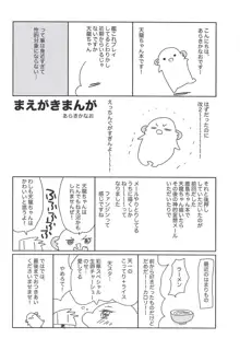 天龍ちゃんの負け, 日本語