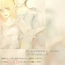 君と私の恋愛事情-A SECRET-, 日本語