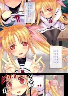 Nijigen Do-Shirouto Musume Nama Nakadashi 1 Fate-chan *9 sai, 中文