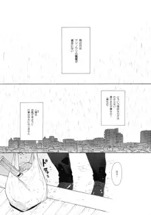 雨の温度, 日本語