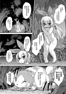 Fushigi no Kuni no Alice | 不可思议之国的爱丽丝, 中文