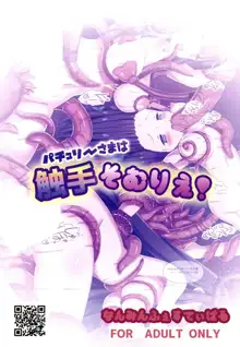 Patchouli-sama wa Shokushu Sommelier! | 帕秋莉大人是触手专家！, 中文