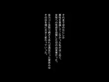 おねえさんとなつやすみ, 日本語