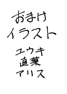 閃光遊戯II, 日本語