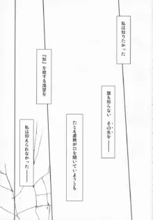 未知なる情報フレアを夢に求めて, 日本語