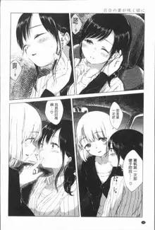 Yuri no Tsubomi ga Saku Koro ni, 中文