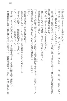 おでかけせっくす 妹と初めてのラブホテル, 日本語