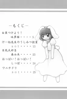 東方少女 〜ふた娘盛り〜, 日本語