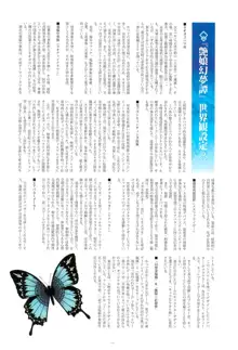 Tony MAGAZINE SP 秘録・艶娘幻夢譚, 日本語