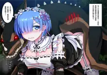 Rem no Majuu Toubatsu, 中文