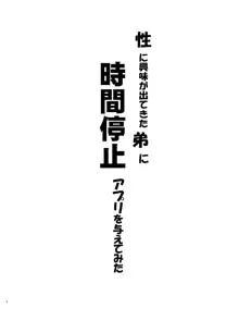 性に興味が出てきた弟に時間停止アプリを与えてみた, 日本語