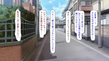 私立ぱこぱこ学園, 日本語