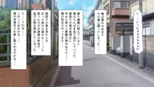 私立ぱこぱこ学園, 日本語