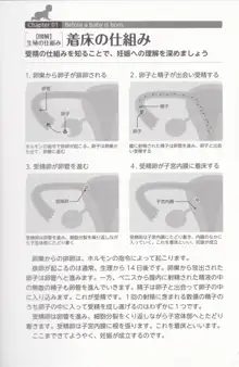 やらなくても解る性交と妊娠詳細解説 赤ちゃんのつくり方, 日本語