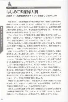 やらなくても解る性交と妊娠詳細解説 赤ちゃんのつくり方, 日本語