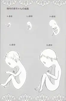 やらなくても解る性交と妊娠詳細解説 赤ちゃんのつくり方, 日本語