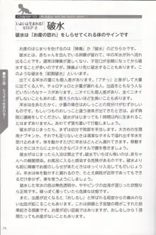 やらなくても解る性交と妊娠詳細解説 赤ちゃんのつくり方, 日本語