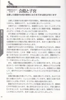 やらなくても解る性交と妊娠詳細解説 赤ちゃんのつくり方, 日本語