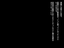 妹は僕の専用生オナホ, 日本語