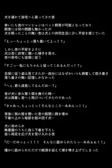 淫乱にされてしまった怪盗団と仲間たち!?, 日本語