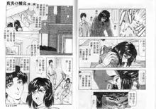 Shinjitsu no Hokan Ch. 1-9, 中文