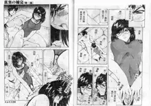 Shinjitsu no Hokan Ch. 1-9, 中文