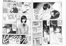 Shinjitsu no Hokan Ch. 1-9, 中文