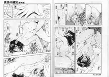 Shinjitsu no Hokan Ch. 1-9, 中文