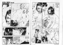 Shinjitsu no Hokan Ch. 1-9, 中文