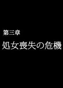 退魔士ミコト総集編, 日本語